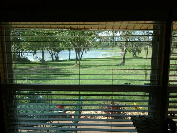 View from Suite