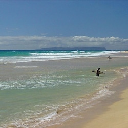 Beautiful (16 mile long) Kekaha Beach