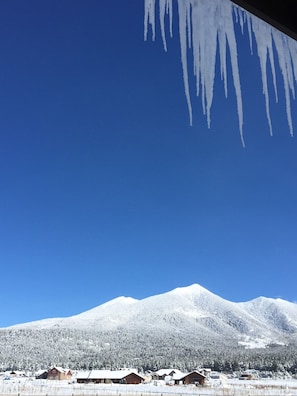 Check out the crystal clear San Francisco peak from the living room!