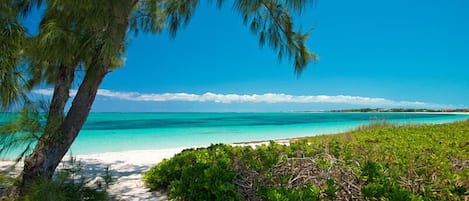 Steps from house to this beautiful beach