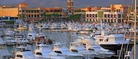 World Class fishing at Marina Cabo San Lucas!