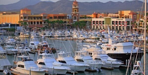 World Class fishing at Marina Cabo San Lucas!