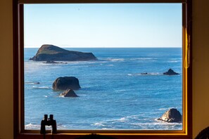 This is the view from the Sun Room. Floating on the ocean, watching ships go by!