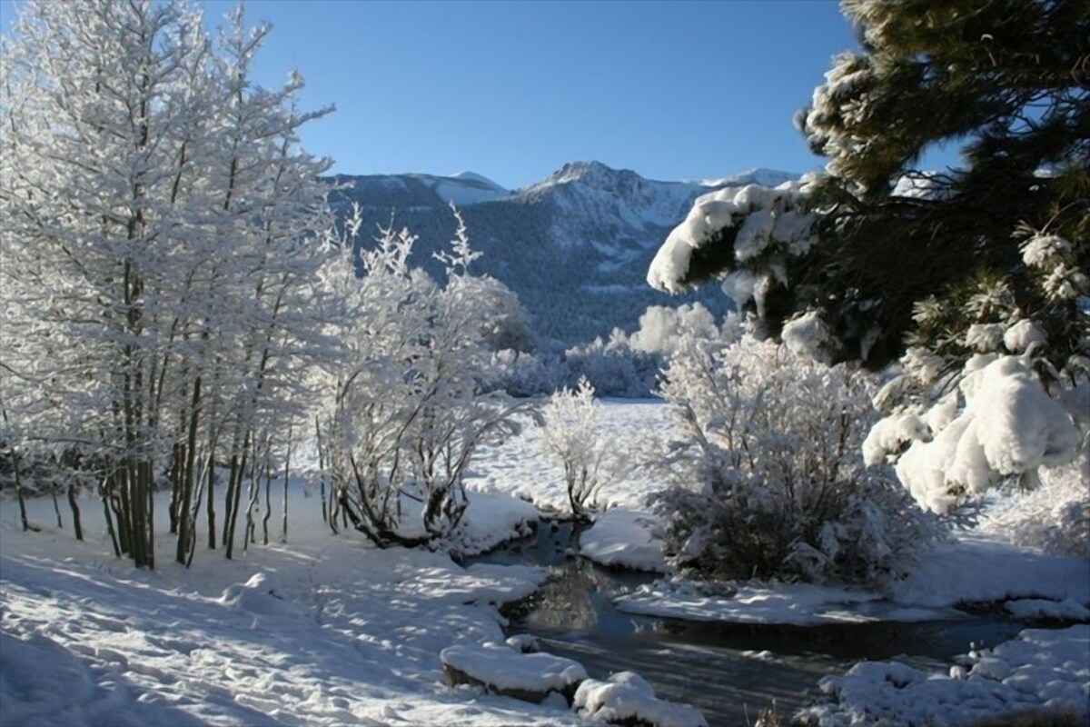 Mammoth – Meadow & Mammoth Creek Views – Snowcreek #69