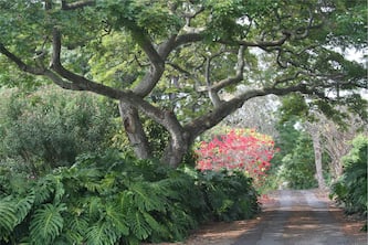 2.7 Acres of Exceptional, Secluded Retreat - Close to Beach & Shopping!