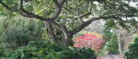 Jardines del alojamiento