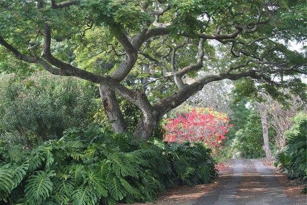 Terrenos do alojamento