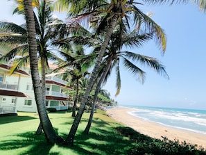 Playa