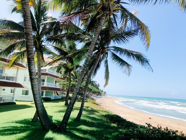 We're right on the beach!