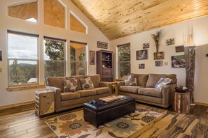 Living Room1