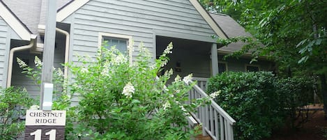 The Tree Frog--quiet and nestled away, yet conveniently close to everything.