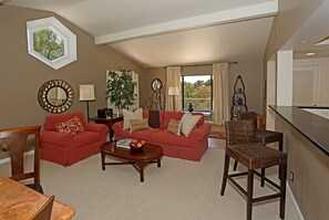 Sofa Sleeper in Great Room