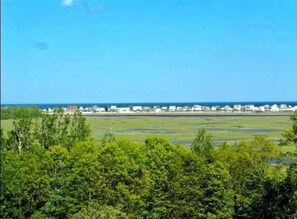 Marsh and Ocean Views