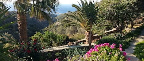 Our magical garden, with exquisite views towards the aegean see