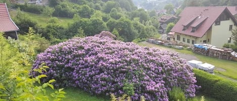 Jardines del alojamiento