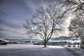 Oklassificerad bild, 5 av 20, knapp