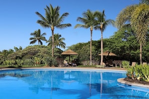 Kulalani Recreation Complex freeform Ohana Pool