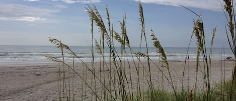 Spiaggia