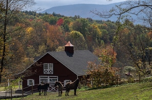 An exterior view of the multi-purpose barn space for you to enjoy.