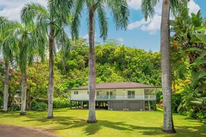 Kalihiwai Beach House Tropical Paradise! 