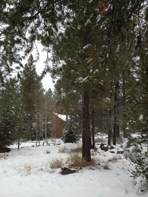 Greenspace, from the back deck.