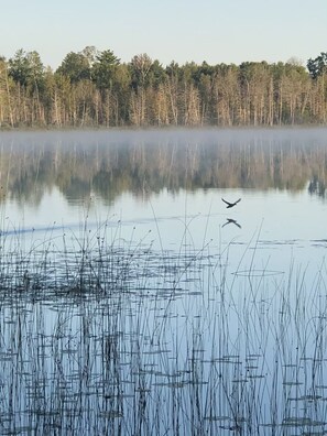 Lac