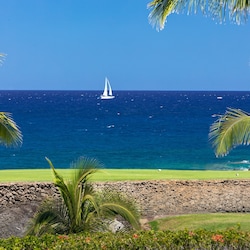 Walk down to little cove on calm days snorkel from your backyard.