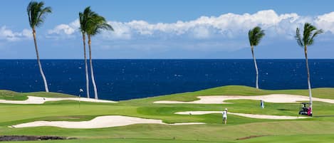 Welcome to Coastal Dreams Villa at Mauna Lani Point!
Amazing Ocean Front Luxury - Signature Golf Hole, Whale watching