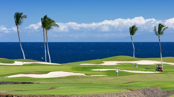 Welcome to Coastal Dreams Villa at Mauna Lani Point!
Amazing Ocean Front Luxury - Signature Golf Hole, Whale watching