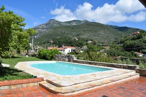 A swimming pool surrounded by greenery...