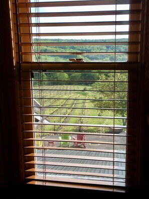 Glimpse of the vineyard from table in guest room