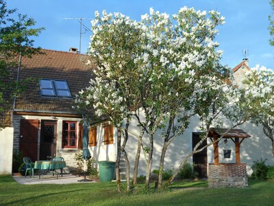 Entire Comfortable Village Home in Burgundy's Wine Country near Beaune