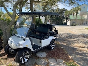 4 Seater Golf Cart Included