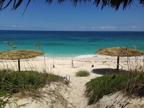 Palapas on the Atlantic Beach