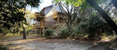 Secluded cottage among the trees