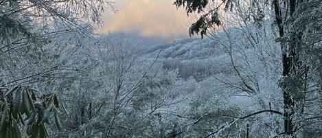 Back deck view Thanksgiving 2023