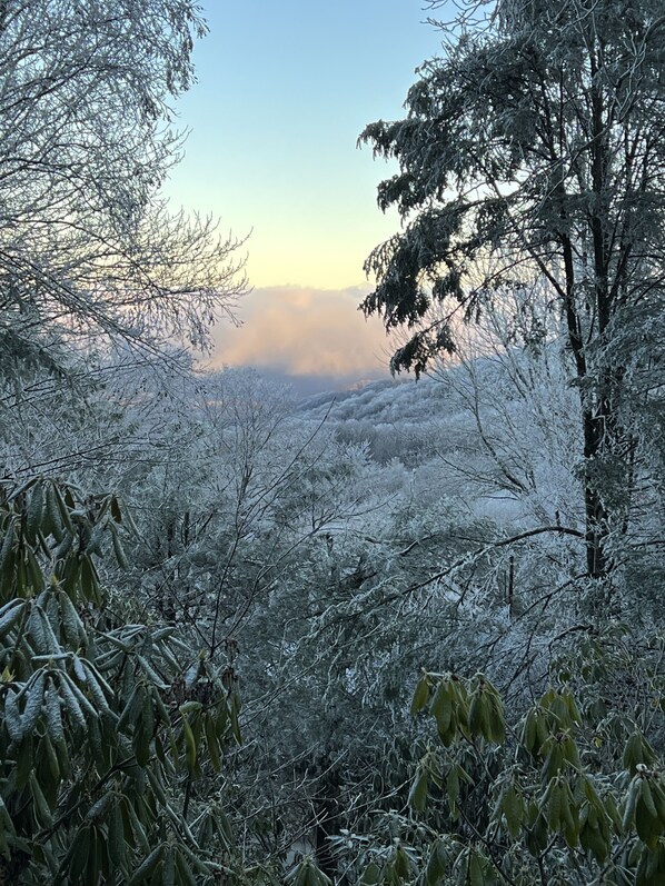 Winter view from rear deck