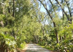 Street on Windermere