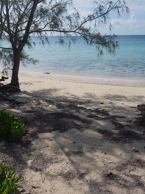 Our private beach, always deserted and calm as a lake.