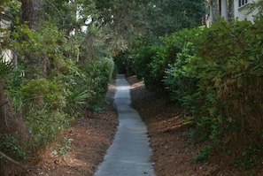 Semi private path leading to the beach from the backyard. Never cross the street