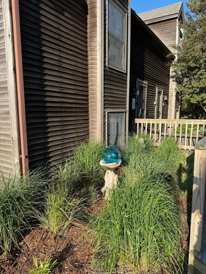 Beachy gardens