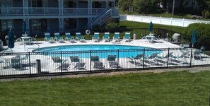 Newly renovated pool