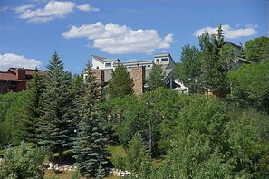 Exterior View of this Large, Luxurious Duplex Home