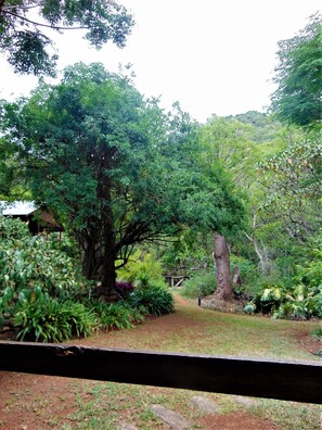 View from cottage 1