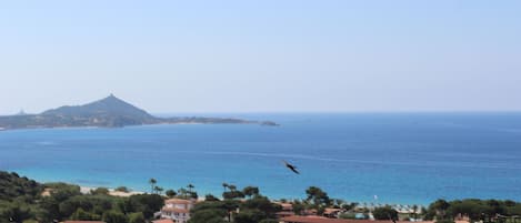 Vue sur la plage ou l’océan