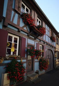 Gîte classé "3 étoiles" à proximité des plus beaux sites touristiques d'Alsace