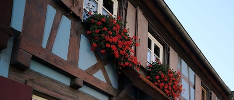 Bienvenue au gîte "La Maison Bleue"