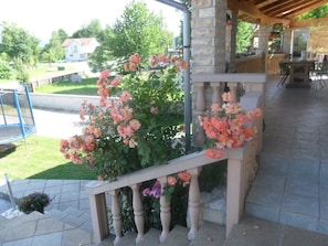 Terrasse/patio