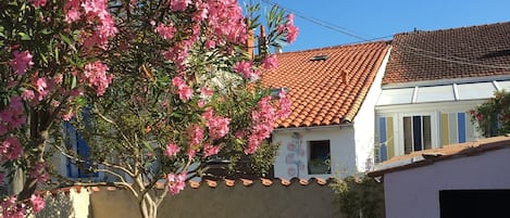 petite terrasse ombragée