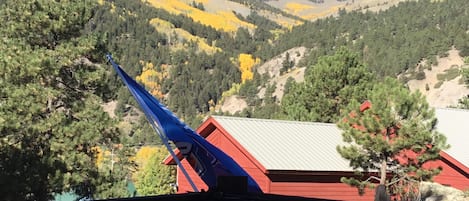 UNOBSTRUCTED MOUNTAIN VIEW FROM DECK. 